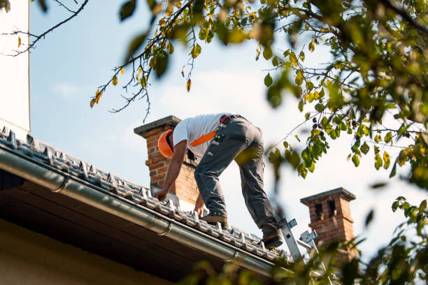 Best Roof Leak Repair  in Kingman, KS